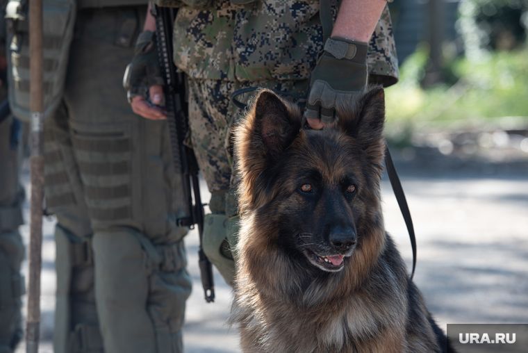 ������� ��� ���������� ����������� ��� �� ���������� ��������