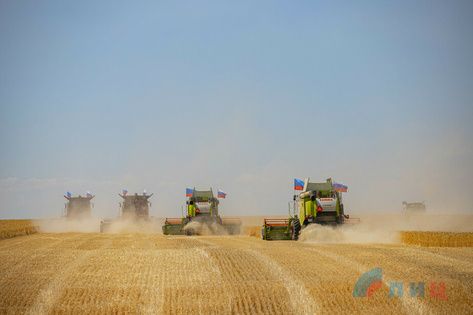 ������� ��� ������ ������ �������� �������� �� 46% �������� � ����������