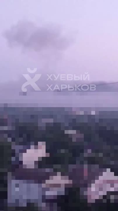 ����� 5 ���� �� �� ������� ������������� ����� �� �������� ���������� � �������� � �������