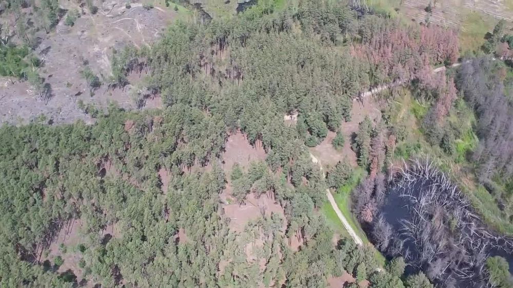 ����� ������� ����������� � ����� ����������, ������������� � ��������� ��������� 50 ����� ��������