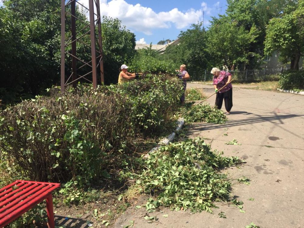 На территории г. Миусинск продолжаются работы по благоустройству города