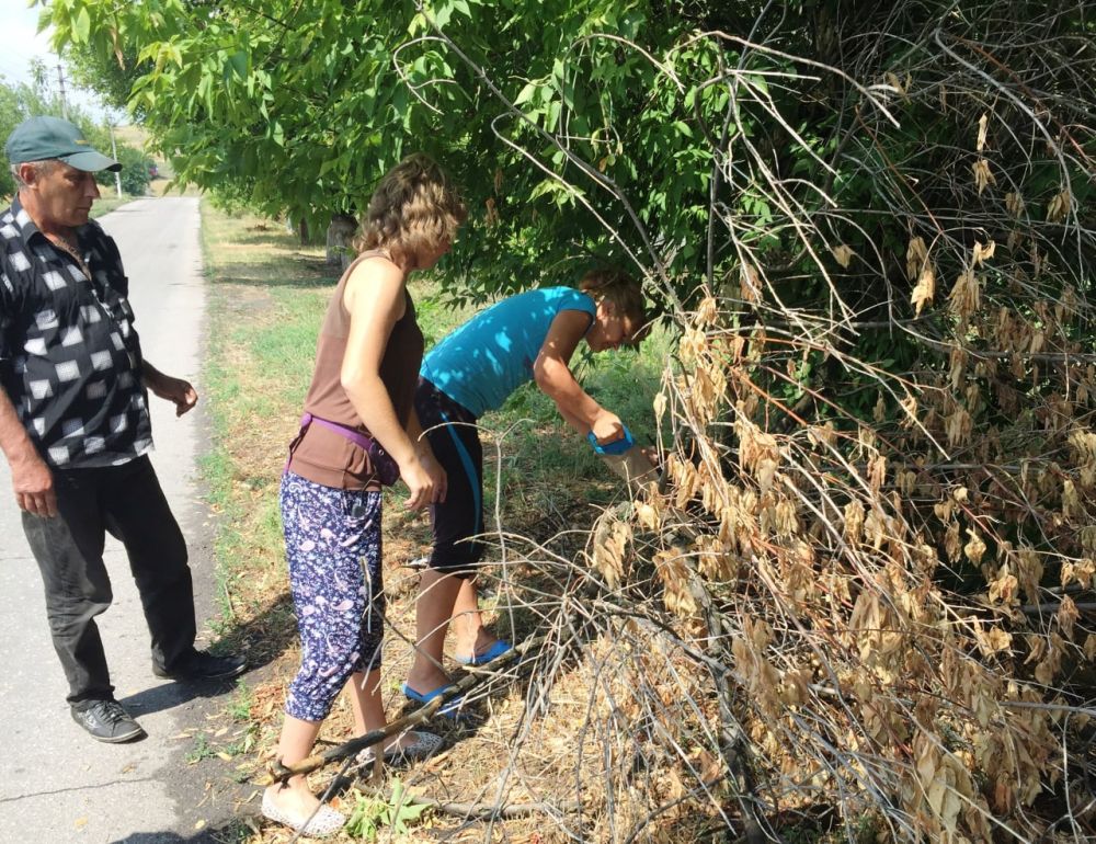 В Миусинске продолжаются работы по благоустройству территории