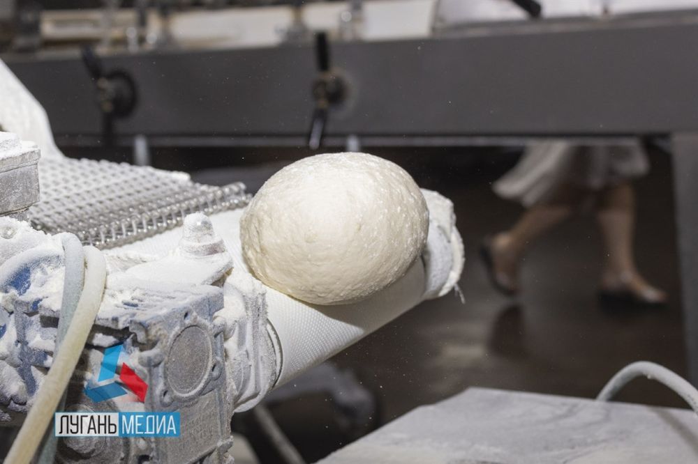 ��� ��������-���� ���������� ���� ������ �� ������������ � ������� ����, ������������ �������� ����, ������������ ����� � �����