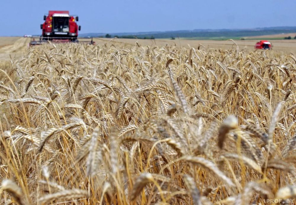 �������� �����: ������� ��������� ���������������� ������!