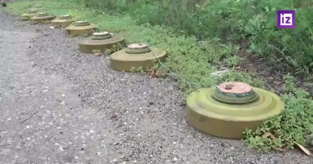 ����� �� �������������� ������� ���������� � ���