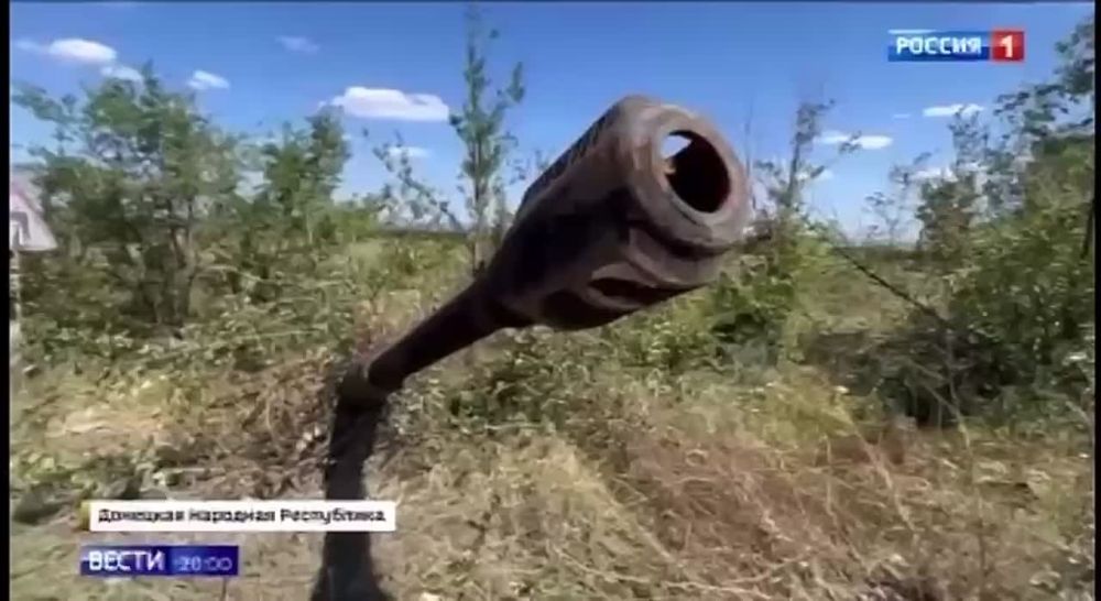 ��� ����� �������� �� ��������