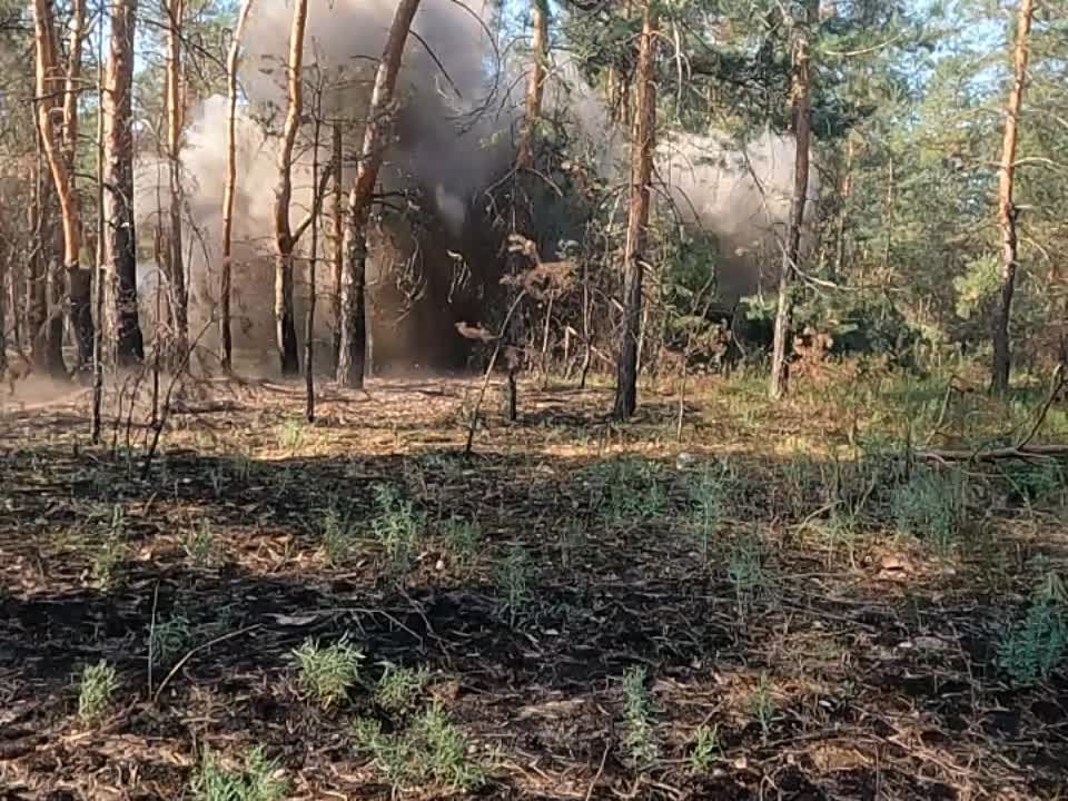 � ������������� ��������� � �������������� ������������� ������