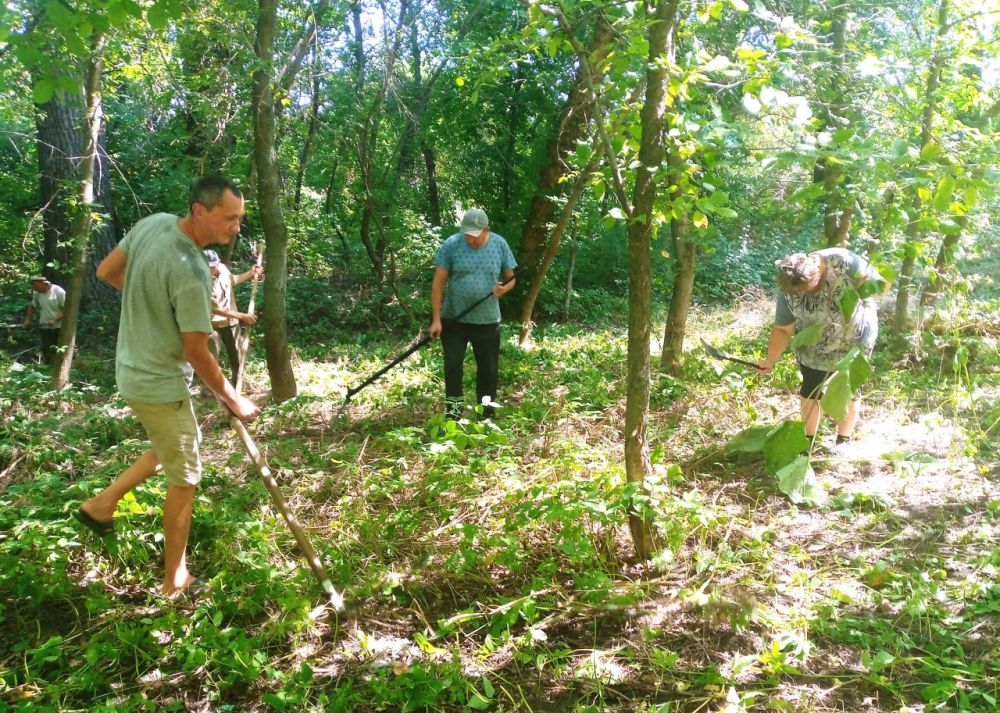 � ��� �������� ������������ ������ �� ��������������� ���������� �������