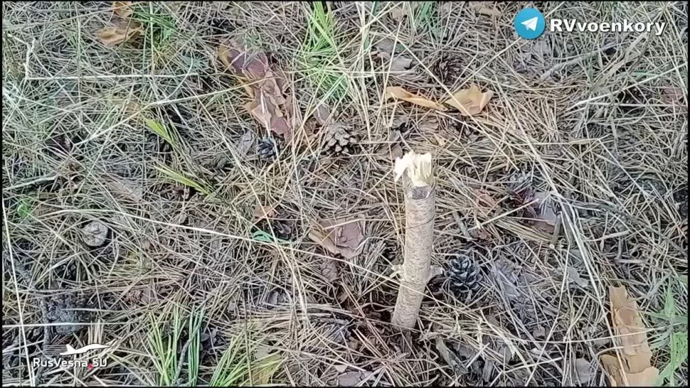 �������������� ���� ���-50 ������� ������� "�������"