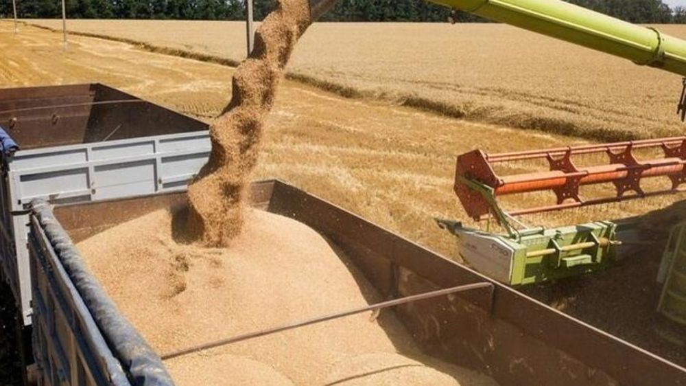 Аграрии ЛНР собрали один миллион тонн ранних зерновых и зернобобовых