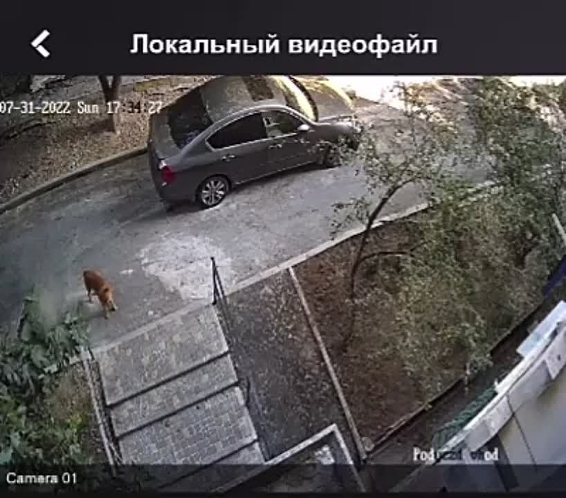 ������ ��������� �������� �� �������� ��������� � ��������� �������