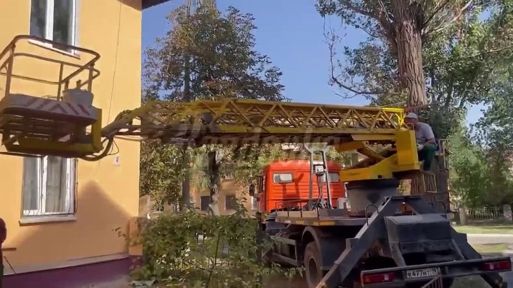 «Счастье не за горами» — в ЛНР идет активное восстановление города Счастье