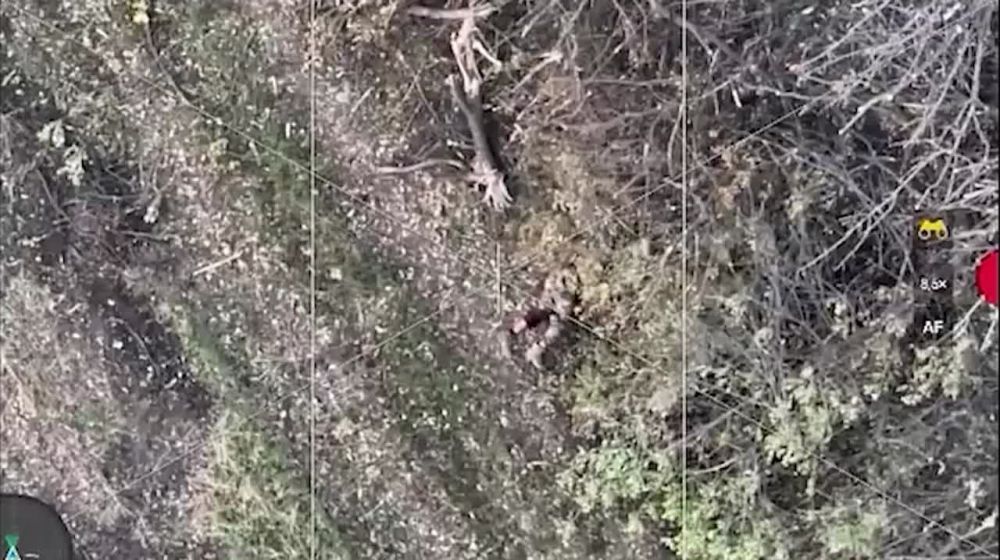 ��������� ���������� ���������� ����� � ������ ��������
