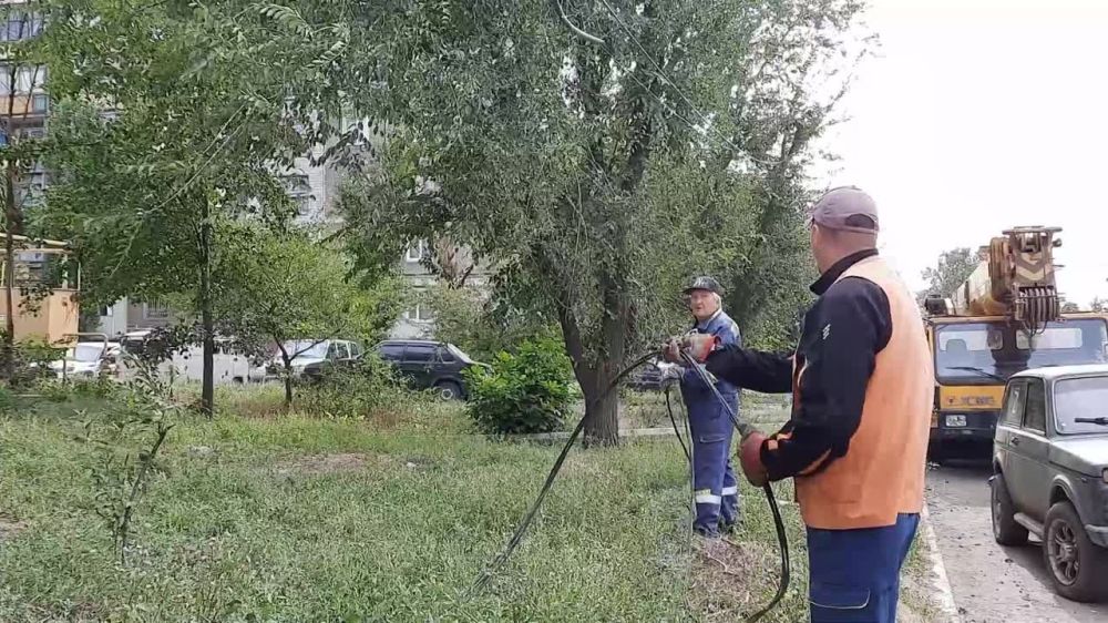 � ��������� ������������ ������ �� ���������� ����������� �������� ������ �� ������� ���. �� ��������� ������ ��������� � ������� ������������� ��������� ������������ �����, �������� �����������, ������������� �����������