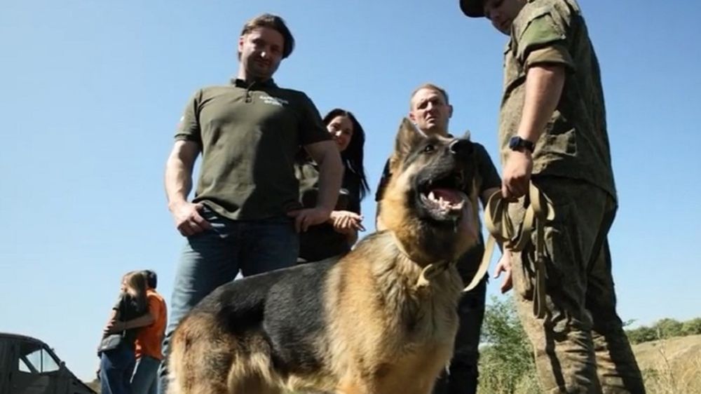 ���� ��� ��� ������� ����� � ������ ������ � ����� �����: ������ �������� �������� � ������� ������������ ������ ��������������� ������ � �����