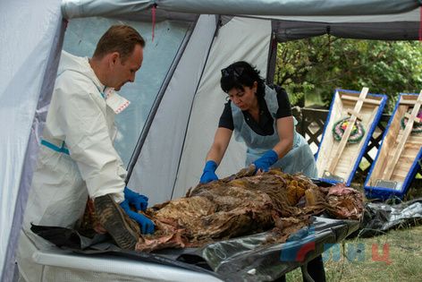 ���������� �������� �� ��������� ����������� � �������� ������� 206 �������