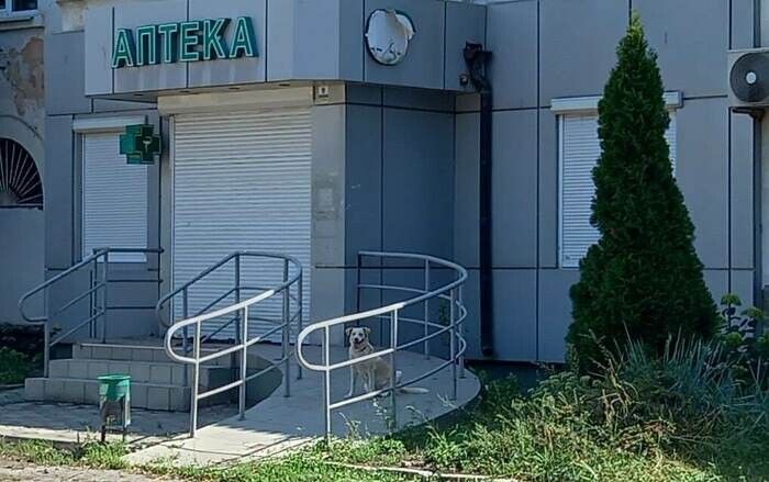 Государственная аптека в Новодружеске и еще одна аптека в Лисичанске возобновят работу в первой декаде сентября