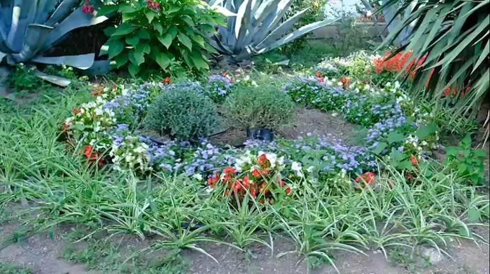 ������ � ���� ���������� �����