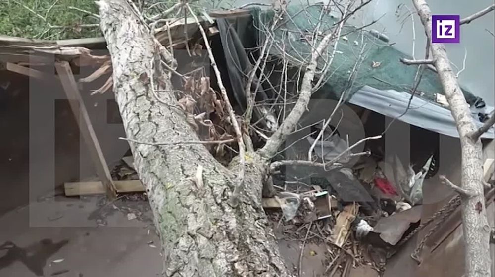 ��������� ����� ������� � ����� ������� ��� �� �������������: ��� �������� �������� ������� �� ������ �� ������, �������� ��� ������� ������� �����