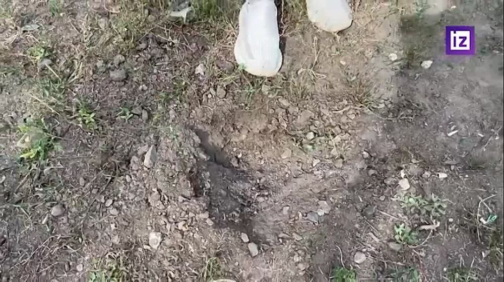 ������� ������ ����� 6-������� ����� �� ����� ��������� ���������� ������ ������� �� ������� ���. ������ ������� �������� ����� �������� � �������� ���������� ������� � ������, ������������ ��������� ����� ���������