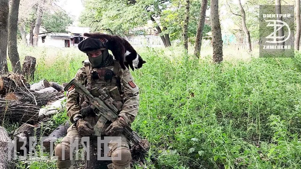 ������� ��������: ����� ������� ������������ � ���