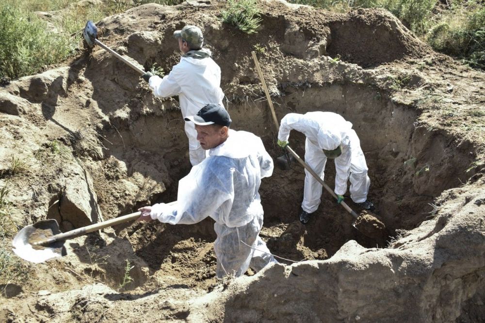 ����� �����: � �������� �� ��������� ����������� �������� ������� 238 ������� ������