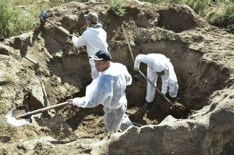 ���������� �������� �� ��������� ����������� � �������� ������� 238 �������