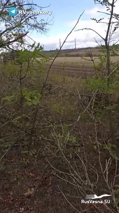 ������ ���������� �������������� ������������� �� ��������� �����������