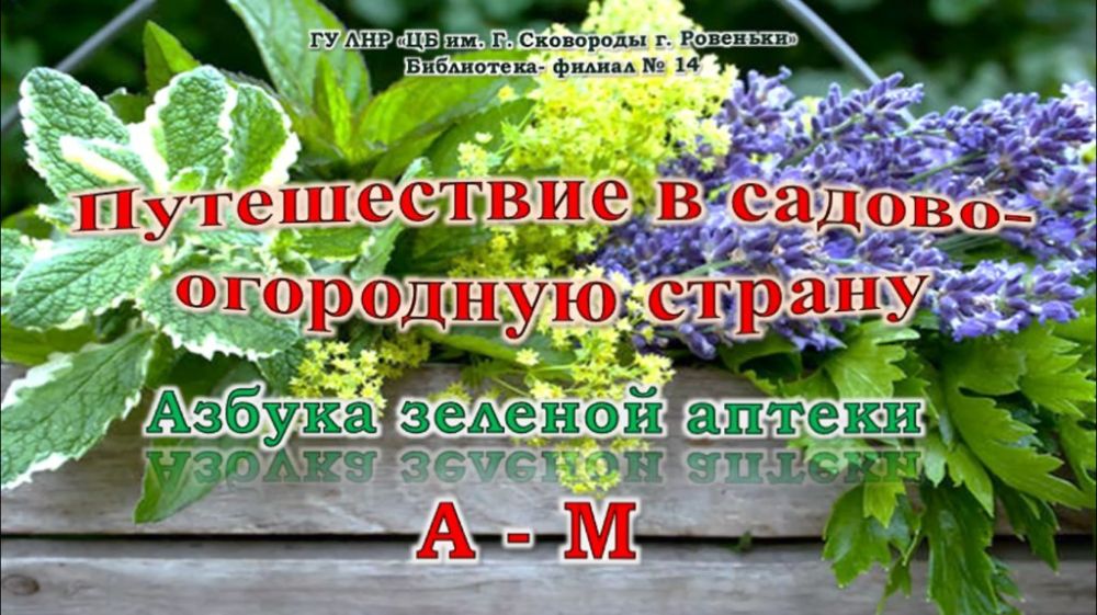 ����������� � ������-��������� ������ ������� ������ ������
