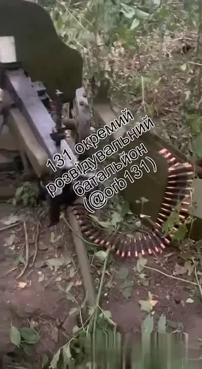 131 ��������� �������� �������� ��� ��������� ��� ��������