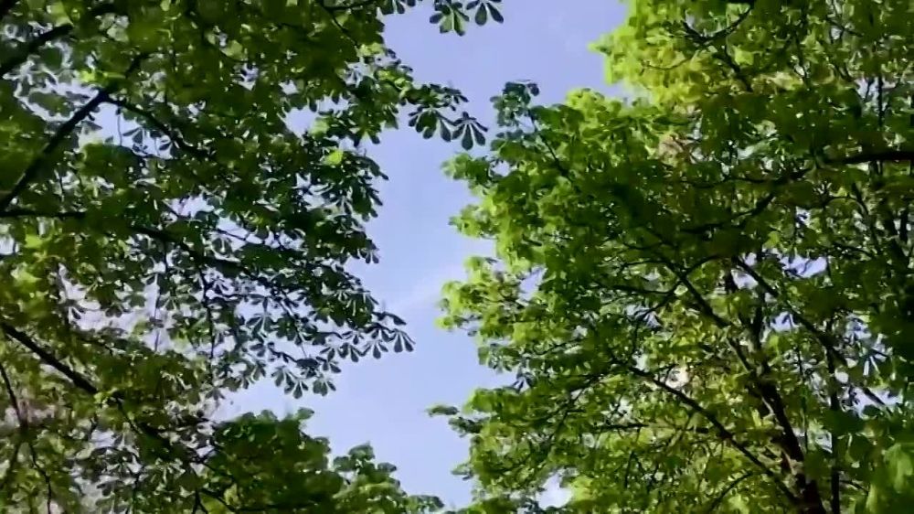 �������� �����: ������� � ���� ��������!