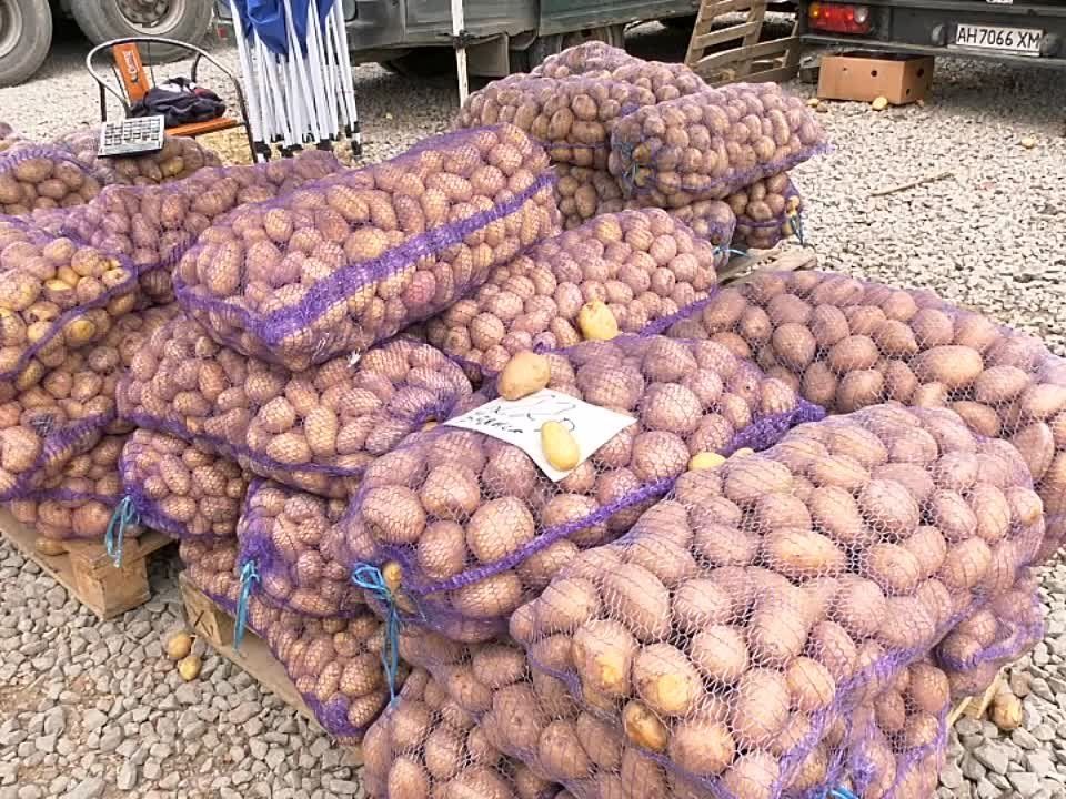 ������������� ��������� ������� ��������� ��������� � ��������� ������ �� ����� ����������