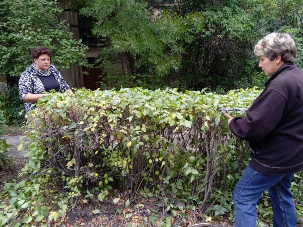 На территории г. Миусинск продолжаются работы по благоустройству города