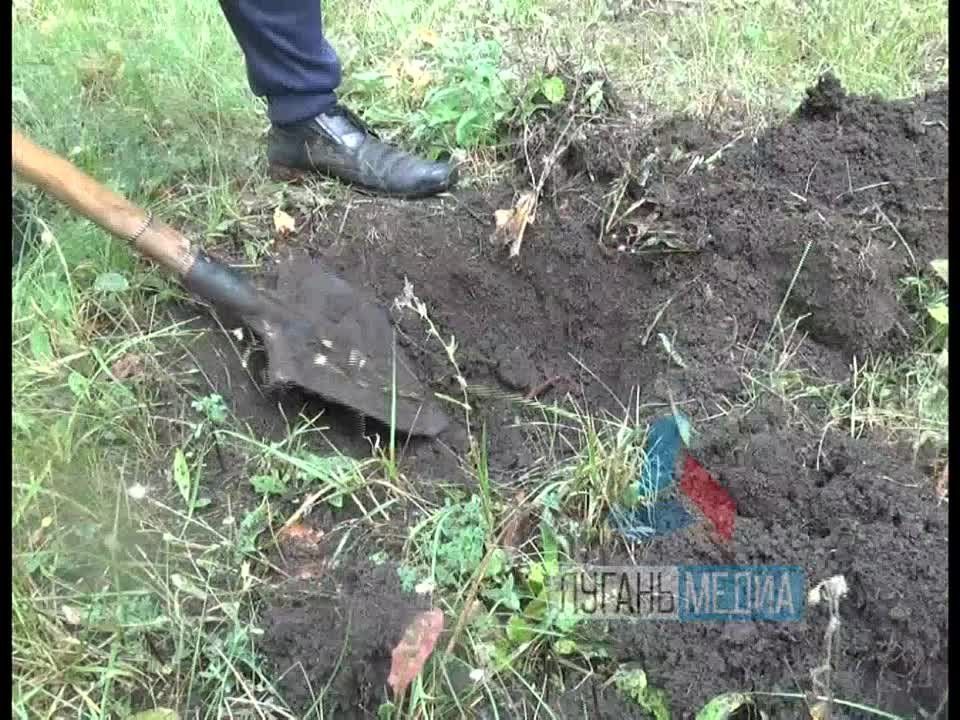 � �������� ������ ������������� ����� �������� ��������� � ���� � �������� ����