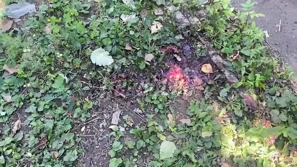 ���� �� ������ � ������� �������� �� ����� ���, � ������� ��������� ���-���� � ������ ���� �������, � ������ �������� ����