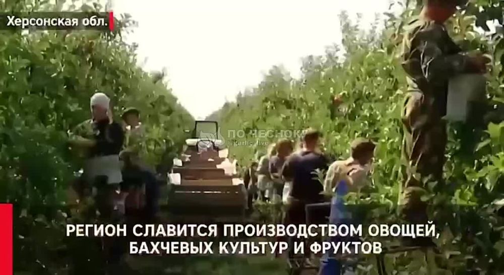 ������� ����� � ���, ��� ����� ����� ������� �����������