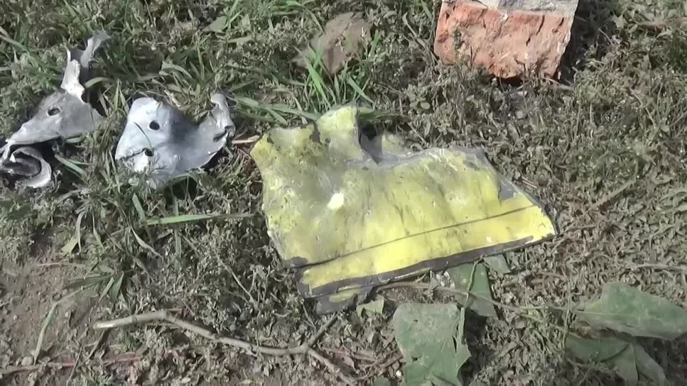 ����������� ����������� ��� ��������� ��������� ���� �� ����� �������� ������� ���������� ���� ��������������� ����������� ������ �� ������� �������� ���������, �������� �����-������ ���������