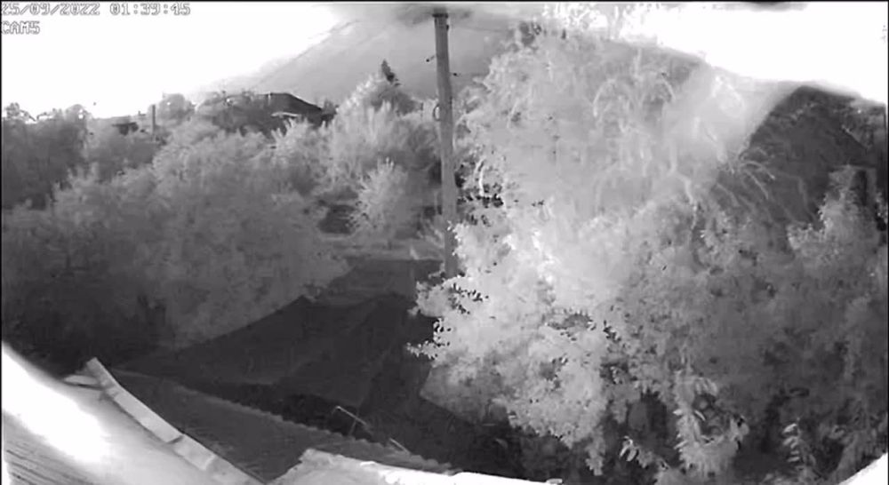 ��������� ���: ������� � ���� ������������ ��������