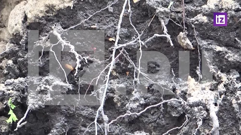 ����������� ����� �� ���� HIMARS �� ������� ��� �� ����� � �������� ������� ������������� "��������" ������� ��������