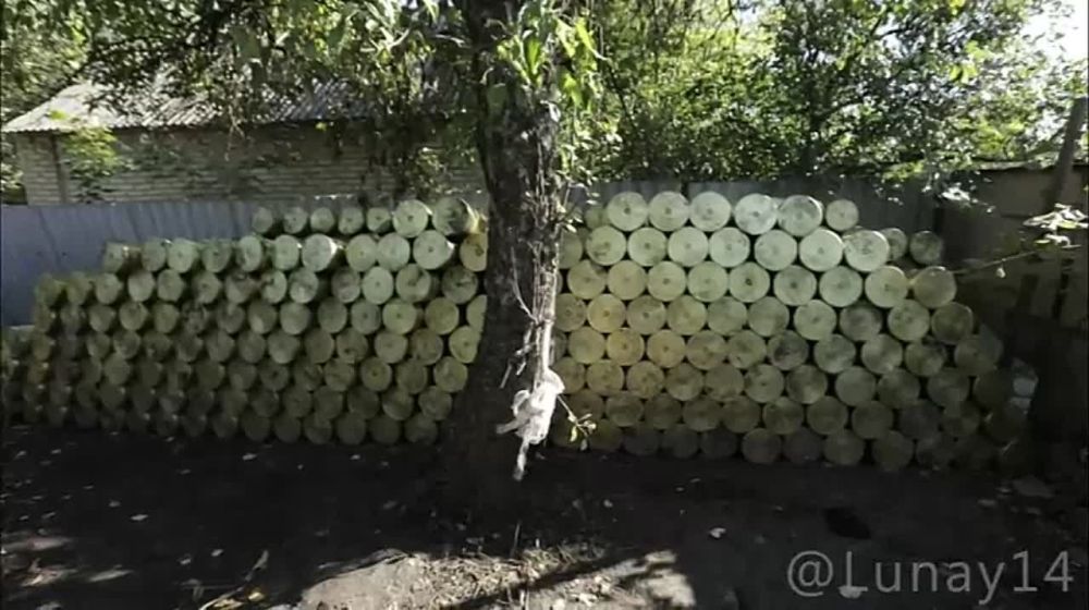 ����� �����: ���� ������ ����!. �� �������� ��� ��� �������, ���������� �� ��������� �����������. ��������: