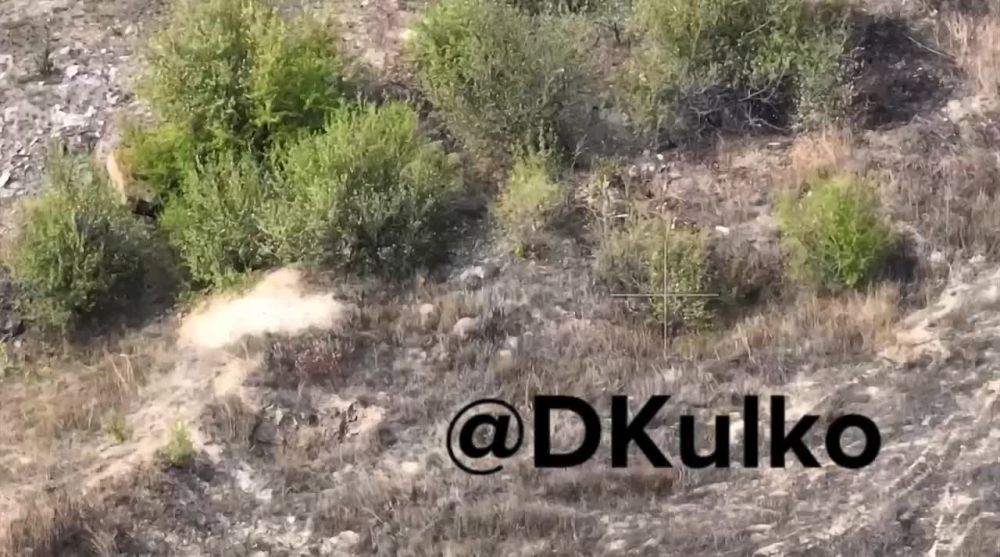 ����� �����: ������ �����. ����� �������� ��� �� ������ ���������-��������� � ������ �������� ������� ����-18. ������� ����...