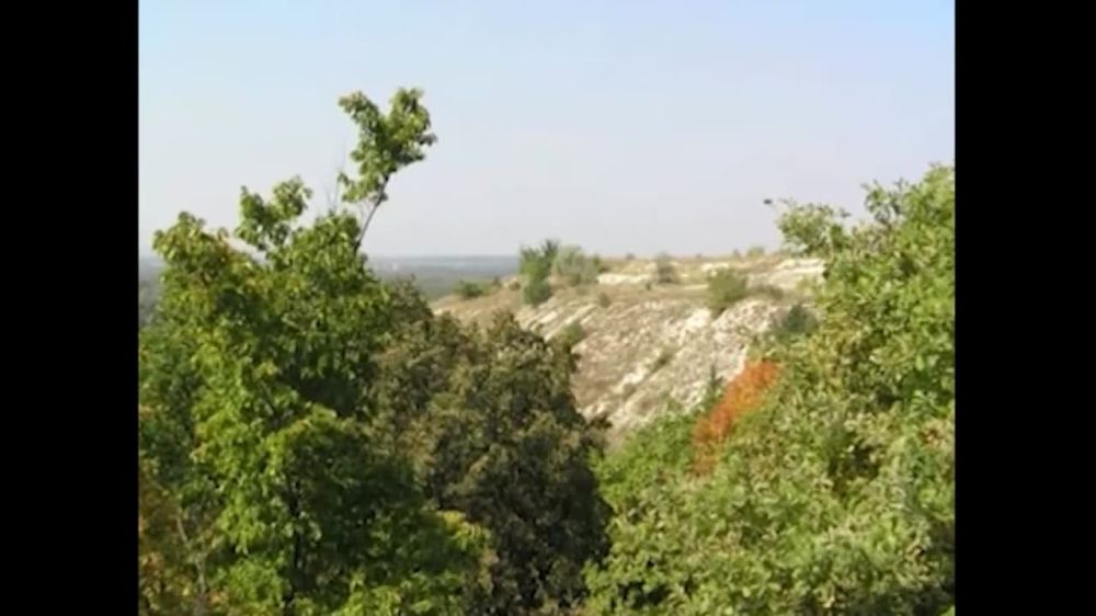 Об истории города Счастье, который расположен на Северском Донце, смотрите в новом выпуске нашей программе «Мое родное» на телеканале «Луганск 24»