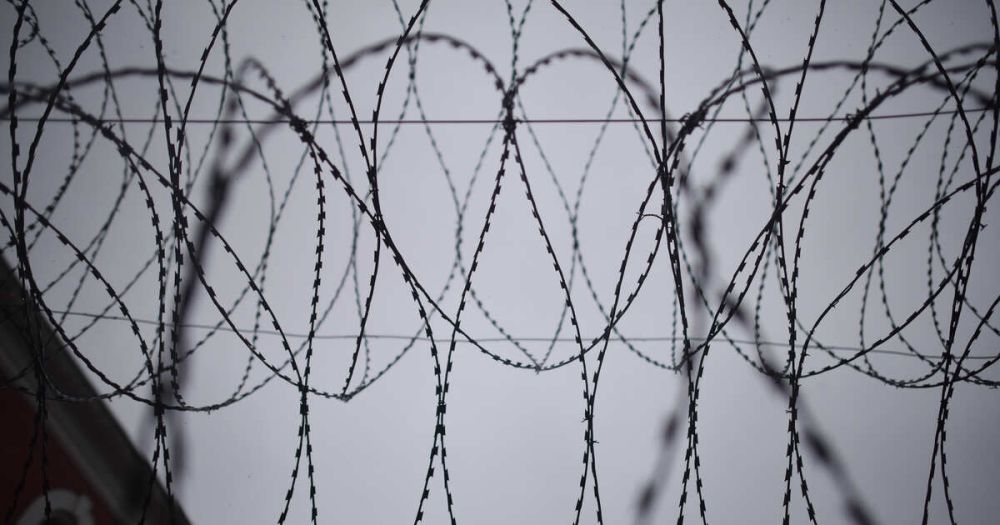 �������� ����� � ��� ������� ����������� �����������