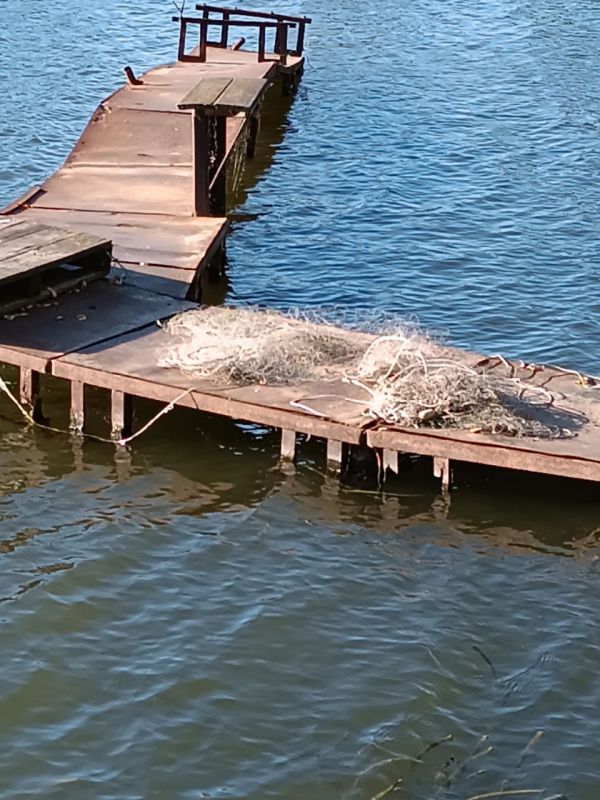 Государственные инспекторы управления государственного экологического надзора Минприроды ЛНР, провели рейдовый осмотр...