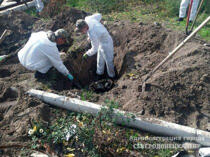 ����������� ������ ���������� �������� ����� ��� �� ��������� ����������� � �������������