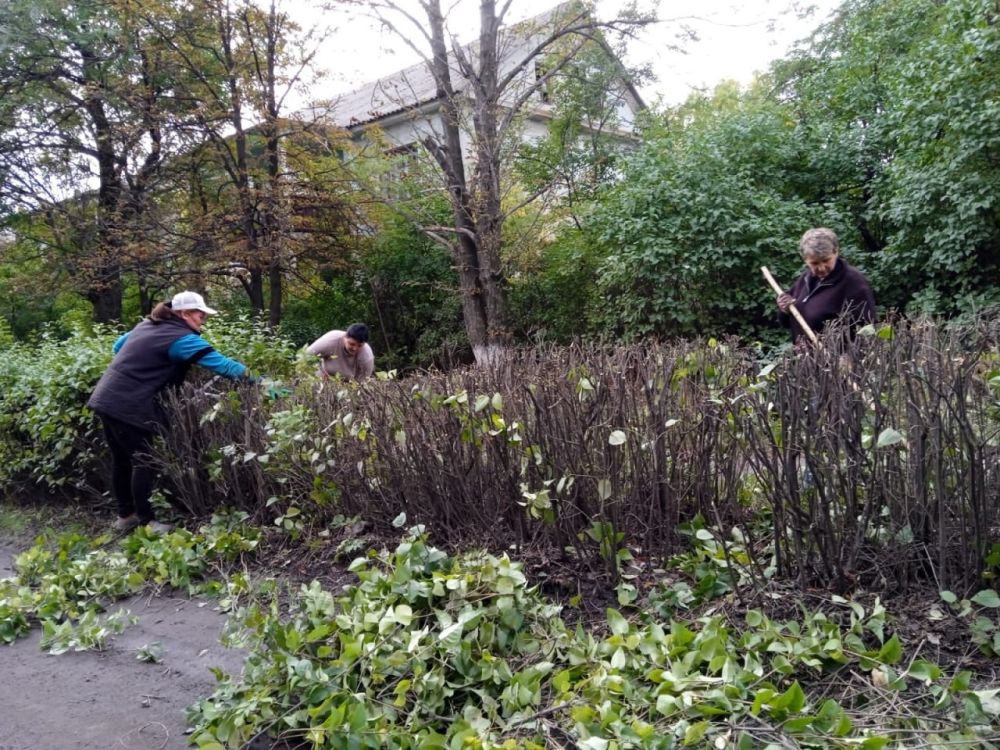 На территории г. Миусинск продолжаются работы по благоустройству города