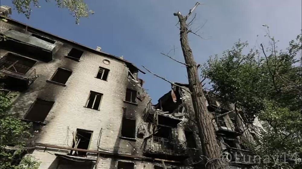 ����� �����: ���� ��� ������� �������������