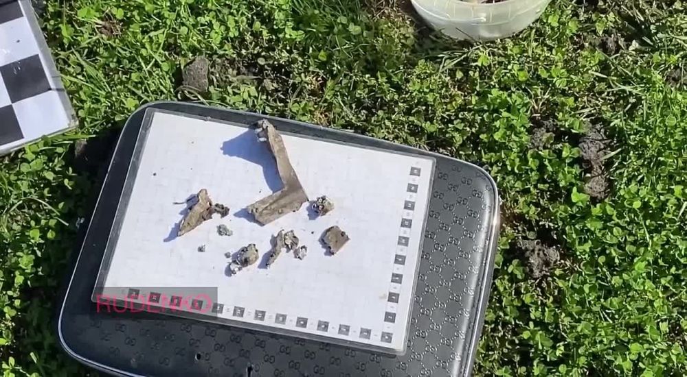 ������ �������: ��� ������������ ����������� �������� �. ����������� � ���. ��������� ���������� ������ ������� � ���������� ����, ������������� � ���������������� �������� �������� ���� �5