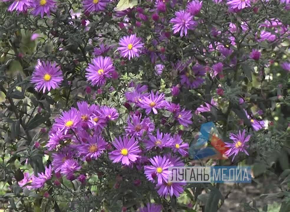 � �������������� ����������� ��������� ��������������� �������� ������ ������������ �� ��������������� ���� ����������� ������ �� ���������� � ������������� �������
