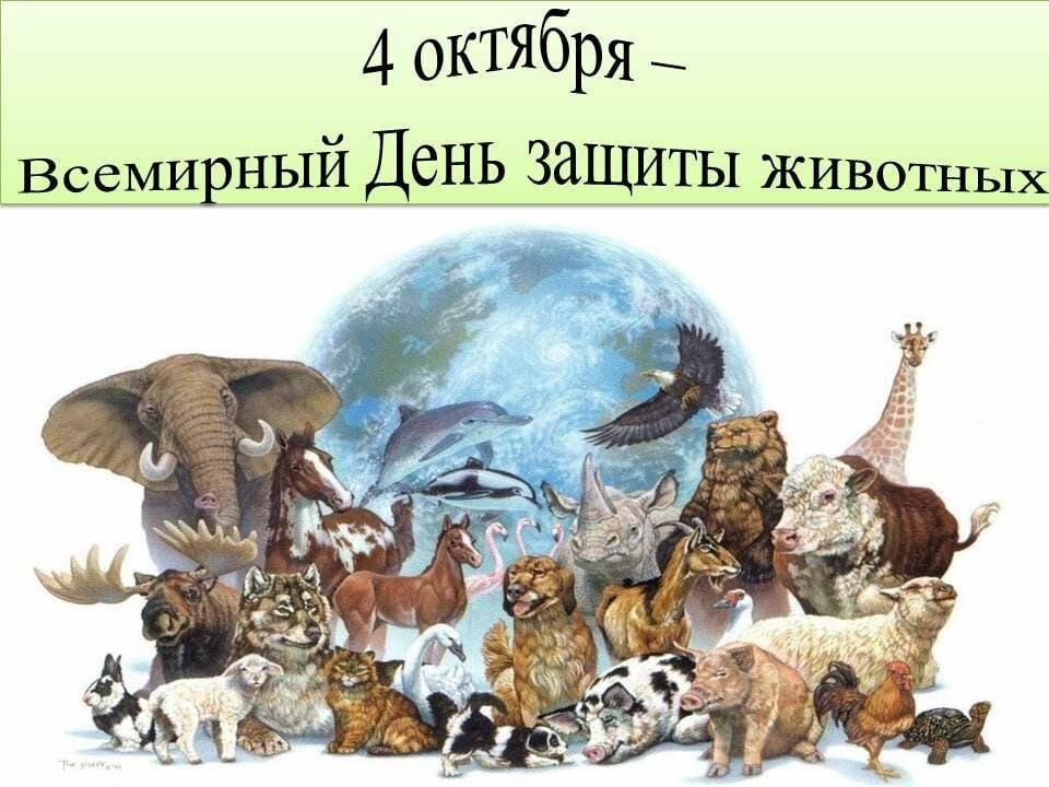������� �������: